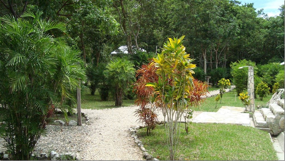 Maya Zac Peten Jungle Lodge El Remate Dış mekan fotoğraf