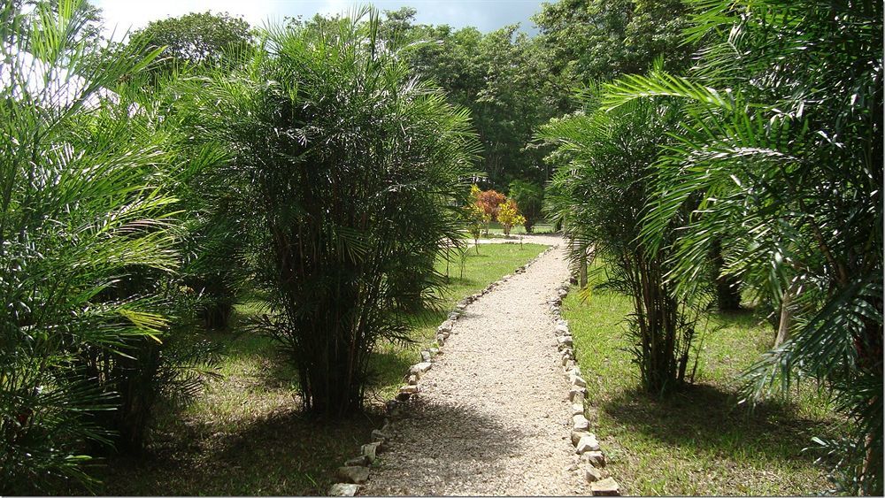 Maya Zac Peten Jungle Lodge El Remate Dış mekan fotoğraf