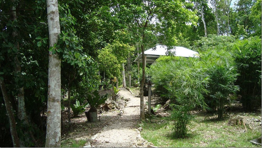 Maya Zac Peten Jungle Lodge El Remate Dış mekan fotoğraf