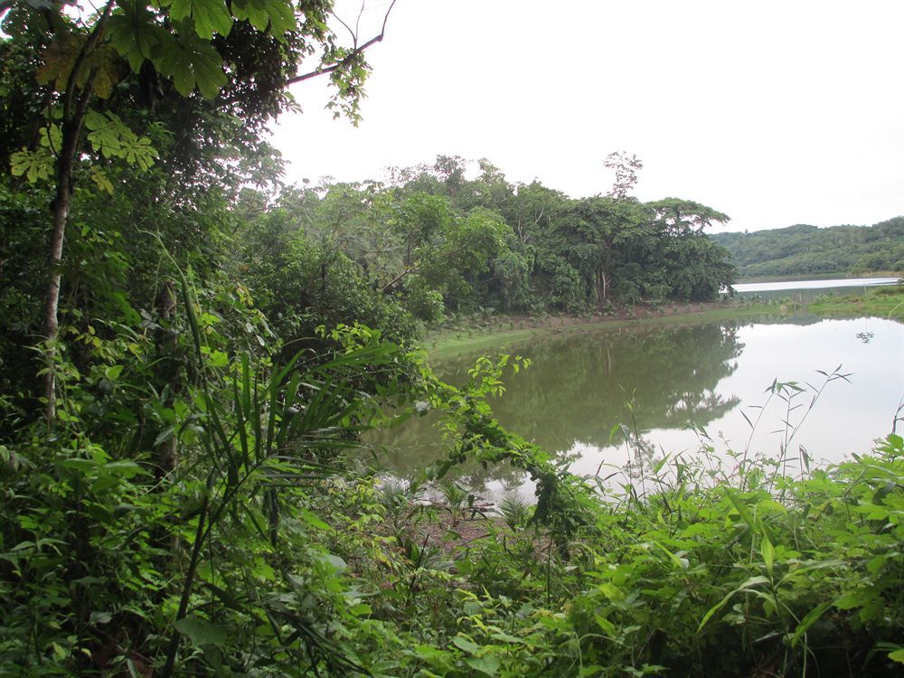 Maya Zac Peten Jungle Lodge El Remate Dış mekan fotoğraf