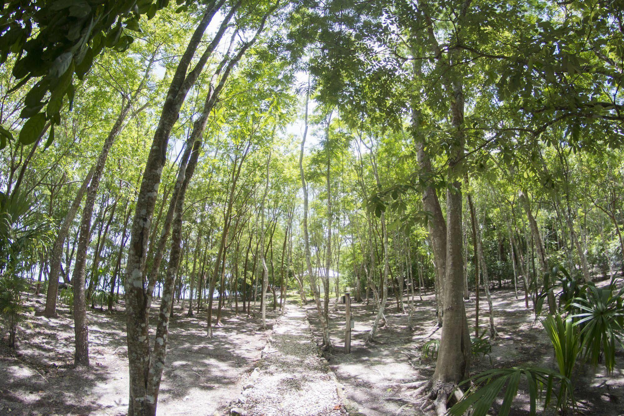 Maya Zac Peten Jungle Lodge El Remate Dış mekan fotoğraf